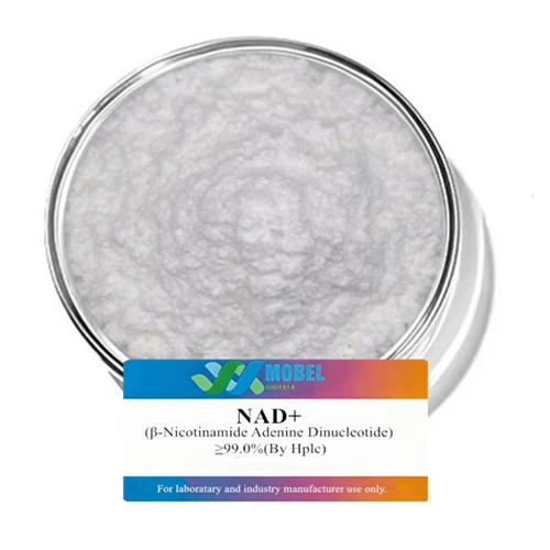 Nicotinamide Adenine Dinucleotide Nad